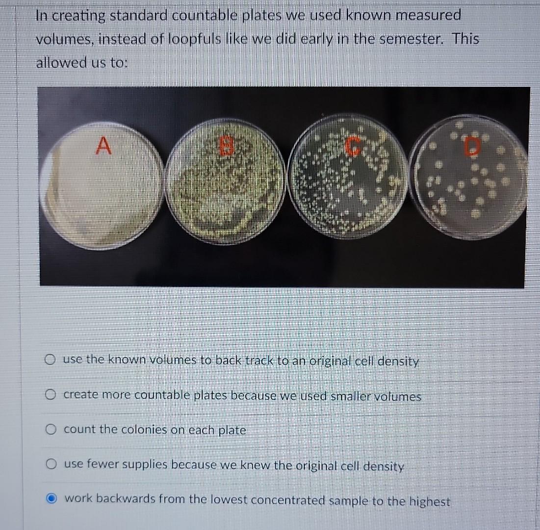 Agar.io takes over as semester ends – The Classic