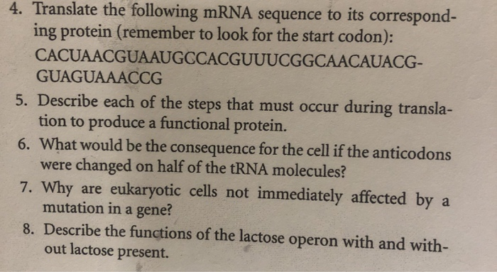 Solved 4. Translate the following mRNA sequence to its | Chegg.com