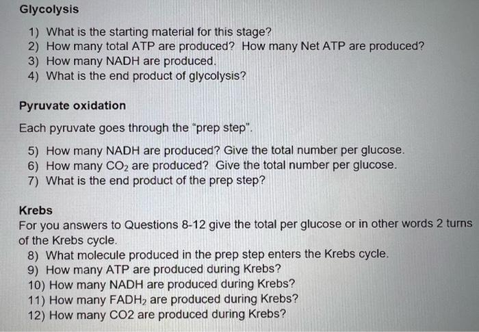 Glycolysis
1) What is the starting material for this stage?
2) How many total ATP are produced? How many Net ATP are produced