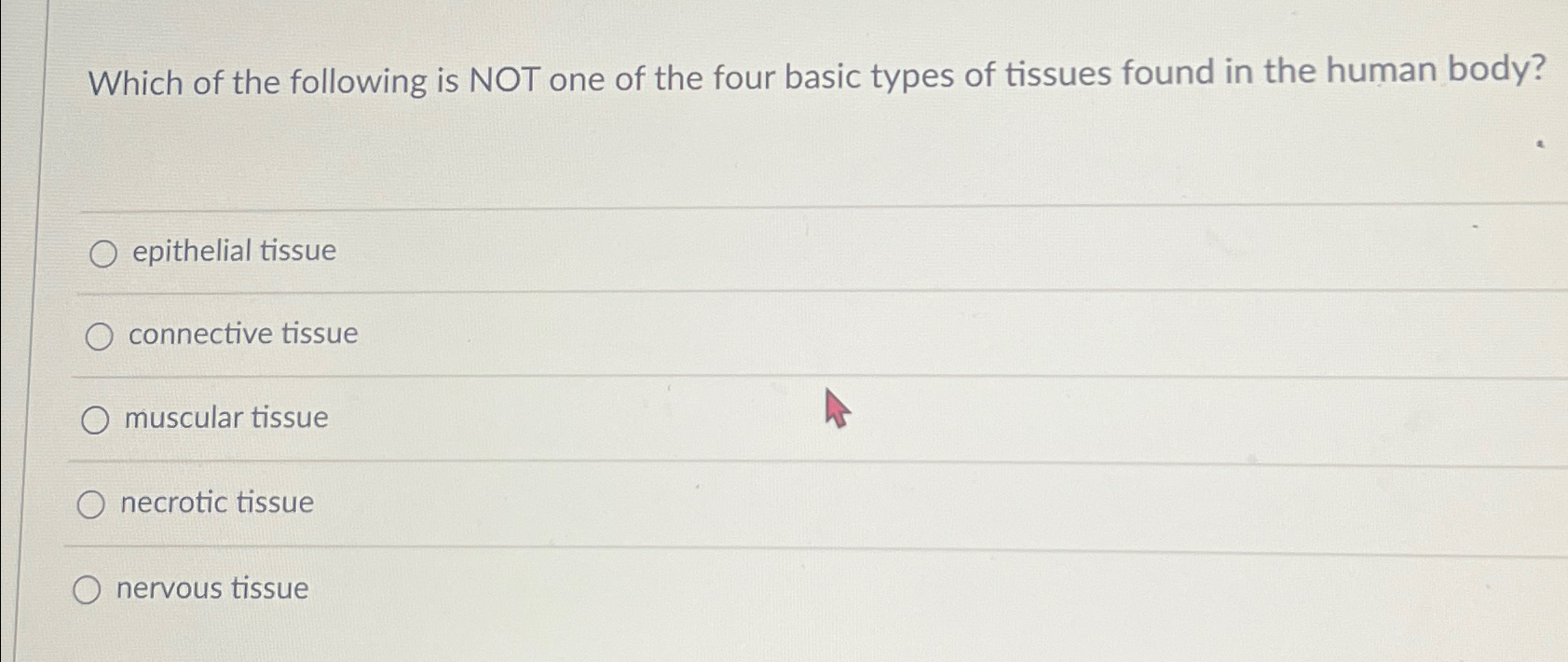 Solved Which of the following is NOT one of the four basic | Chegg.com