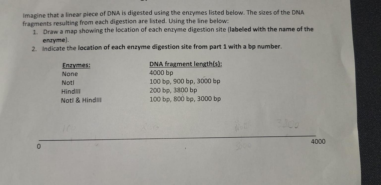 student submitted image, transcription available below