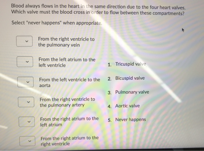 Solved Which of the following would decrease heart rate? | Chegg.com