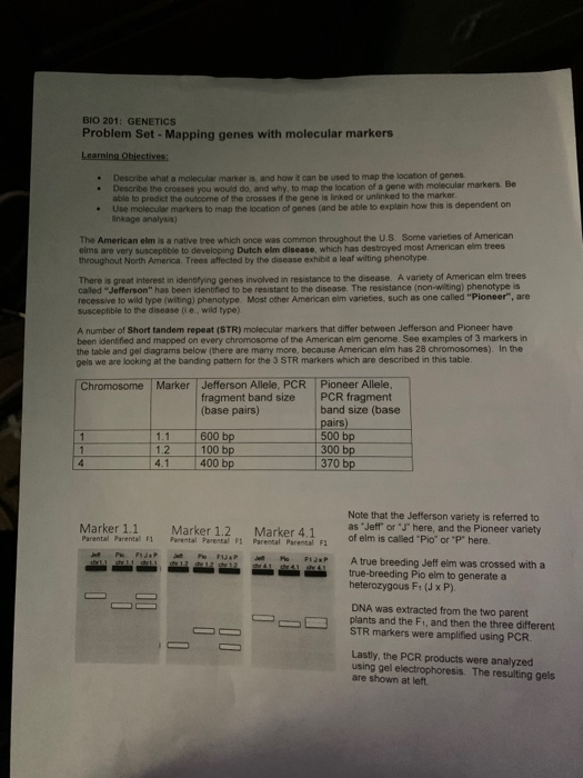 Solved BIO 201: GENETICS Problem Set - Mapping Genes With | Chegg.com