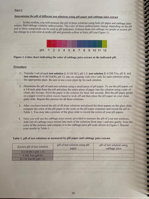 UNIT 3 Hypothesis Antacids neutralize stomach acid
