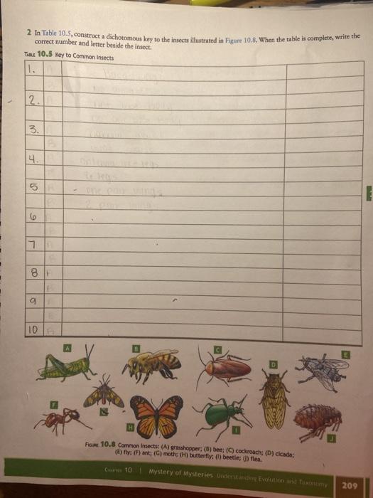 Solved 2 In Table 10.5, construct a dichotomous key to the | Chegg.com