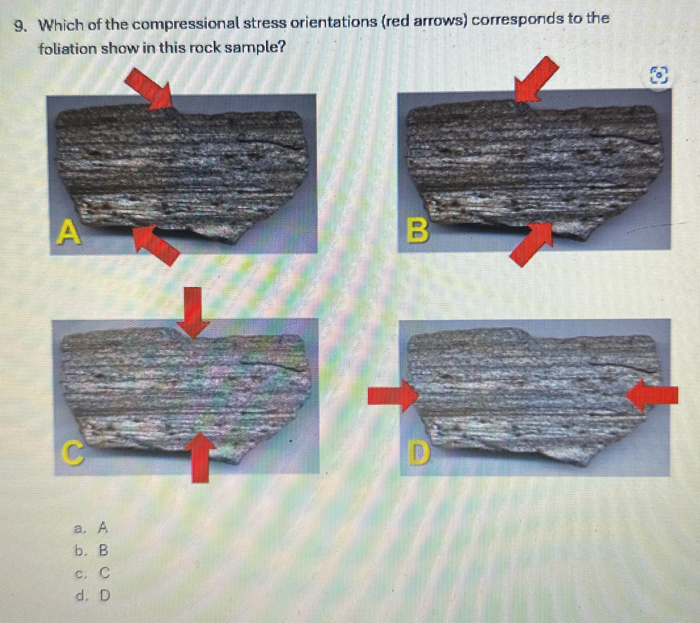 Solved Which of the compressional stress orientations (red | Chegg.com