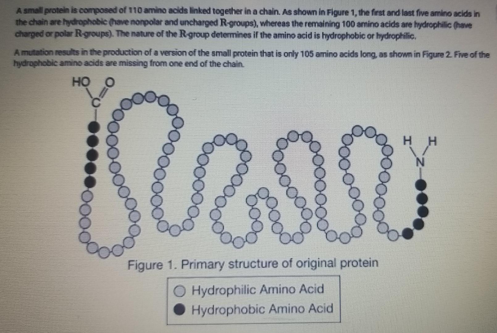 A small protein is composed of 110 amino acids linked