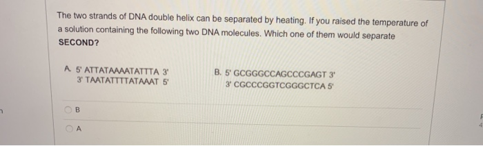 Solved The two strands of DNA double helix can be separated | Chegg.com
