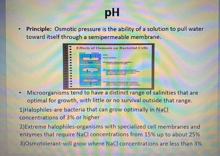 microbiology-lab-the-effect-of-osmotic-pressure-on-chegg