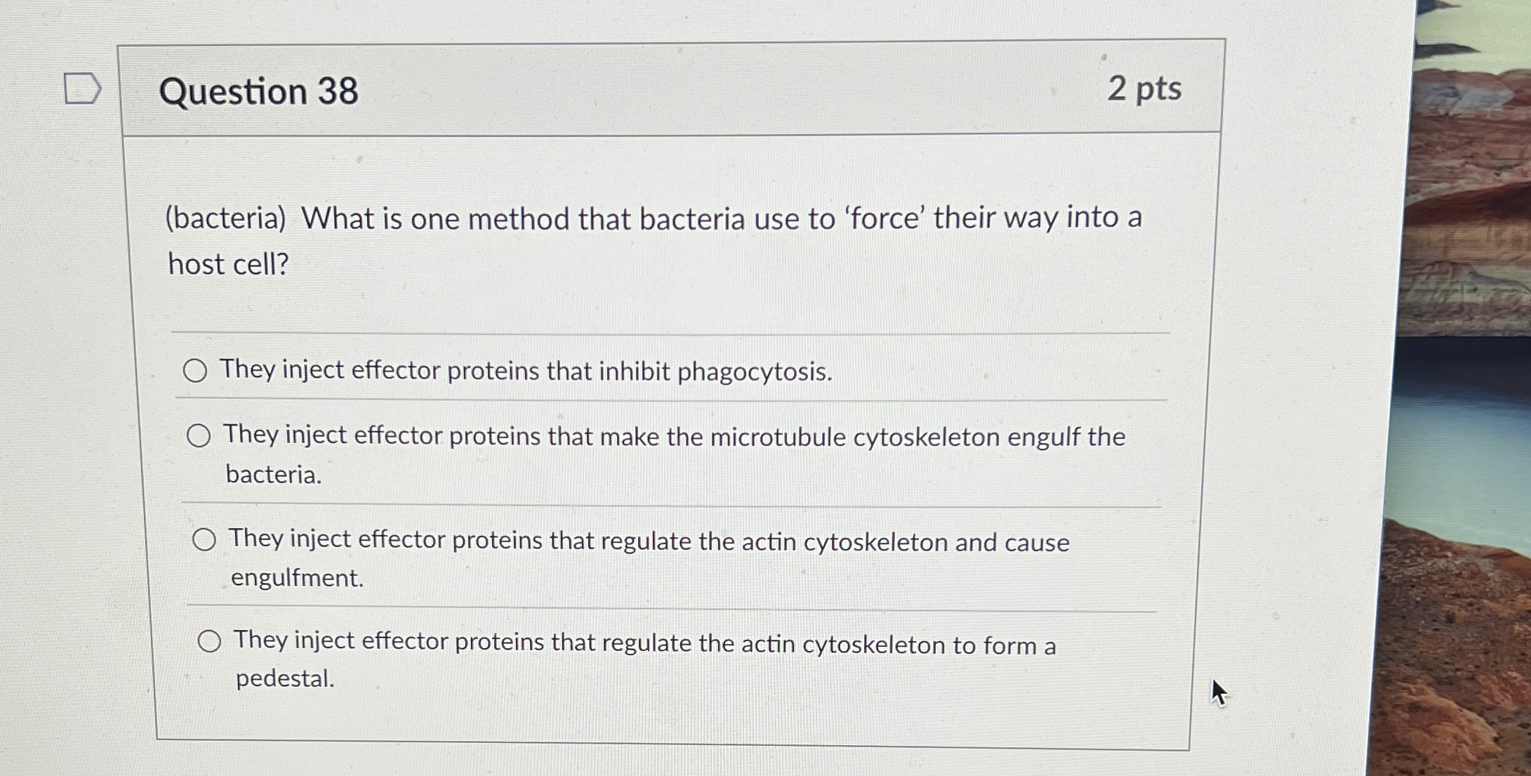 Solved Question 38(bacteria) ﻿What is one method that