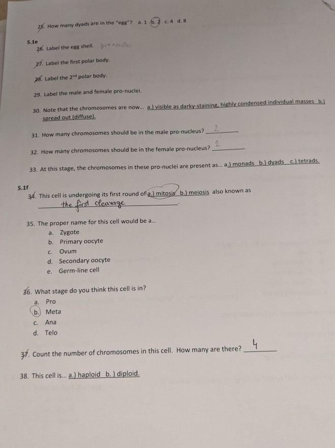 Lab Math Worksheet Chegg Solved Hello there, This is my lab worksheet about | Chegg.com
