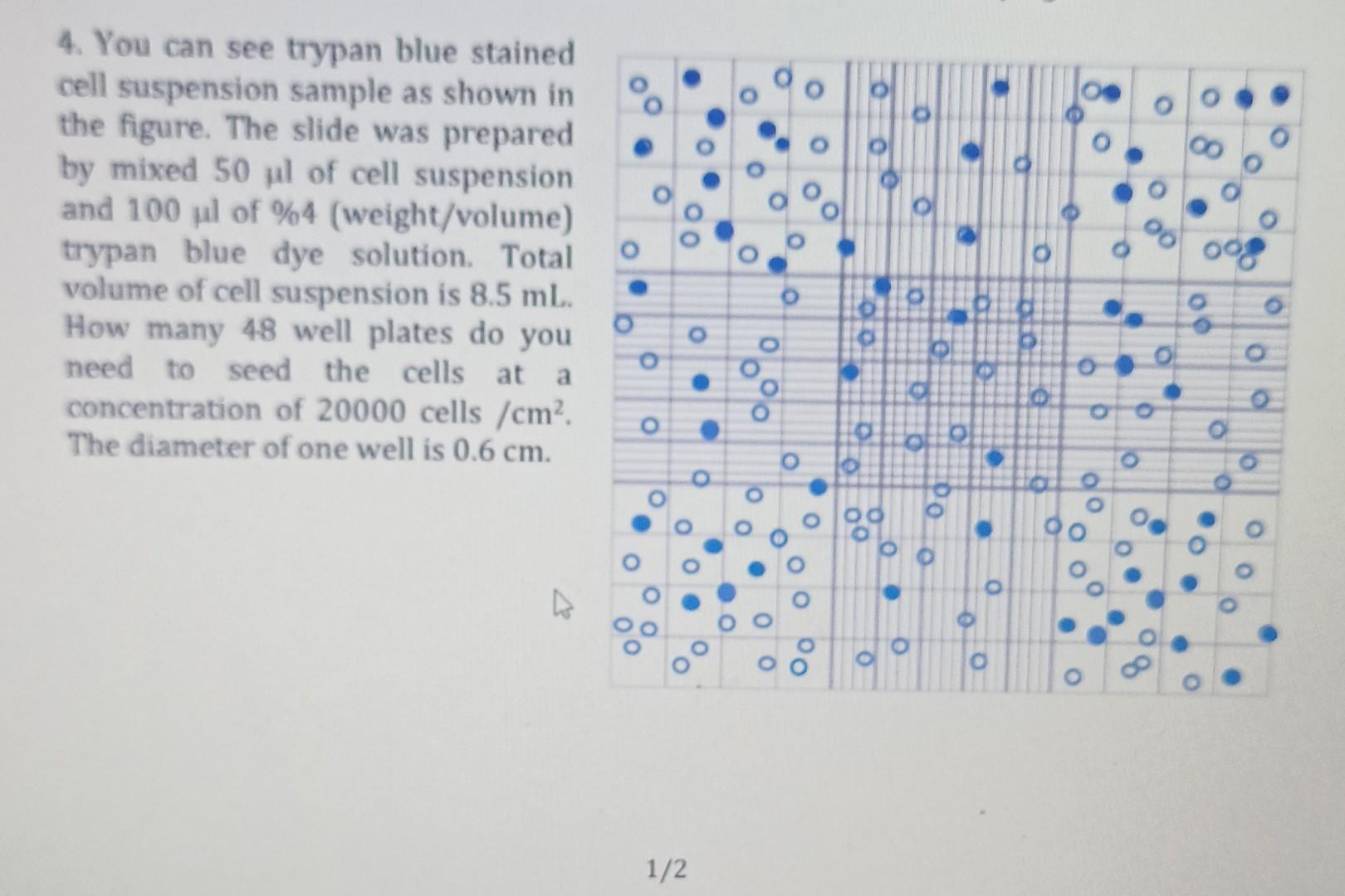 Solved 4. You can see trypan blue stained cell suspension