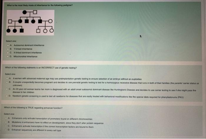 Solved can someone please answer these multiple choice | Chegg.com