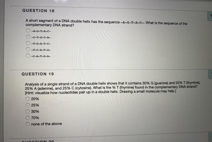 Solved QUESTION 18 1 A short segment of a DNA double helix | Chegg.com