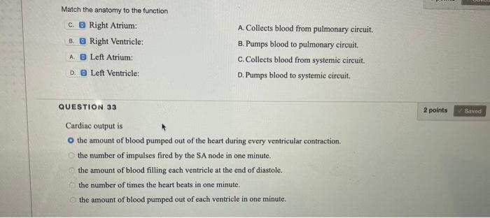 Match the anatomy to the function C. Right Atrium: B. B Right Ventricle: A. Collects blood from pulmonary circuit. B. Pumps b