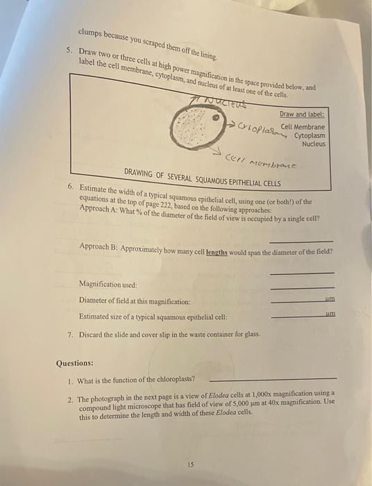 Solved please I need help with answering the question. | Chegg.com