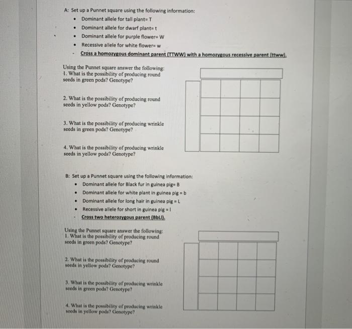 Solved . . . A: Set up a Punnet square using the following | Chegg.com
