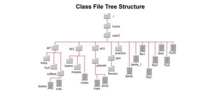 Solved Please write the neccesary commands used to create | Chegg.com