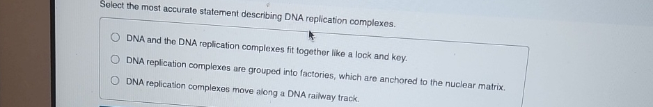 Solved Select the most accurate statement describing DNA | Chegg.com
