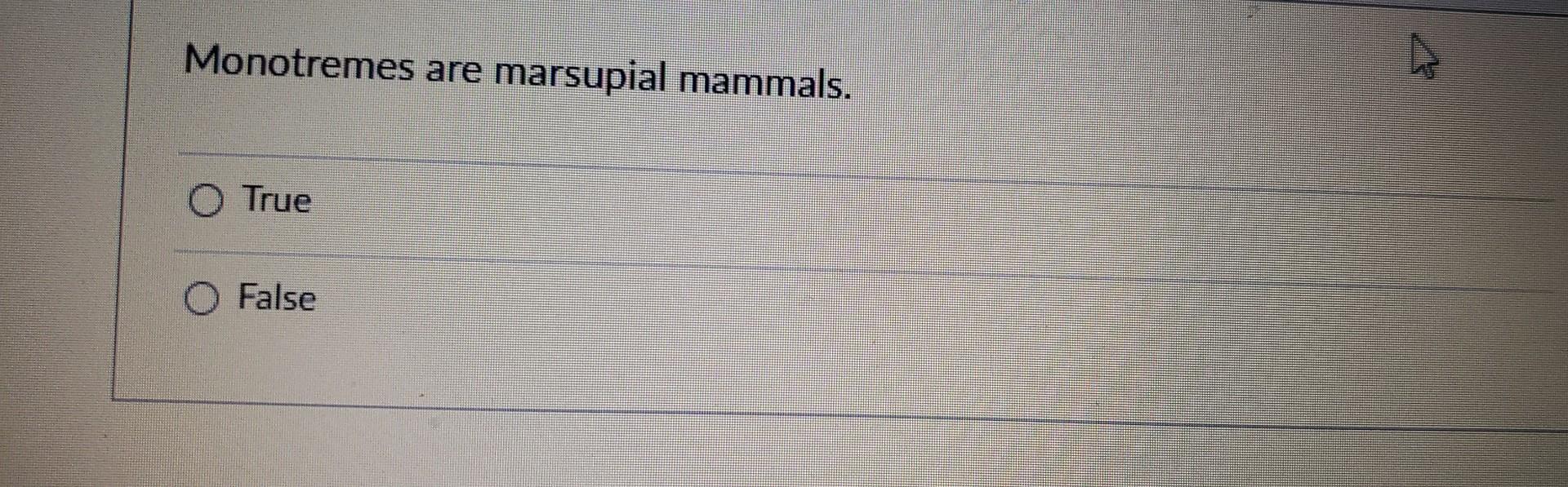 Solved Monotremes are marsupial mammals. True False | Chegg.com