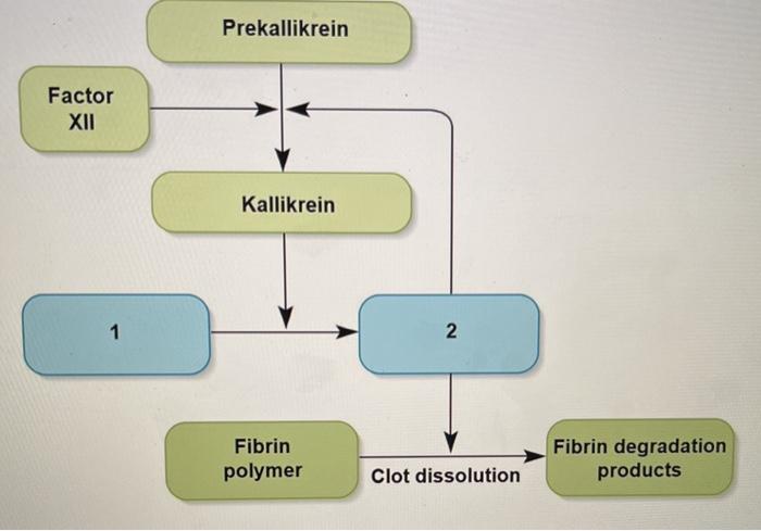 fibrinolysis