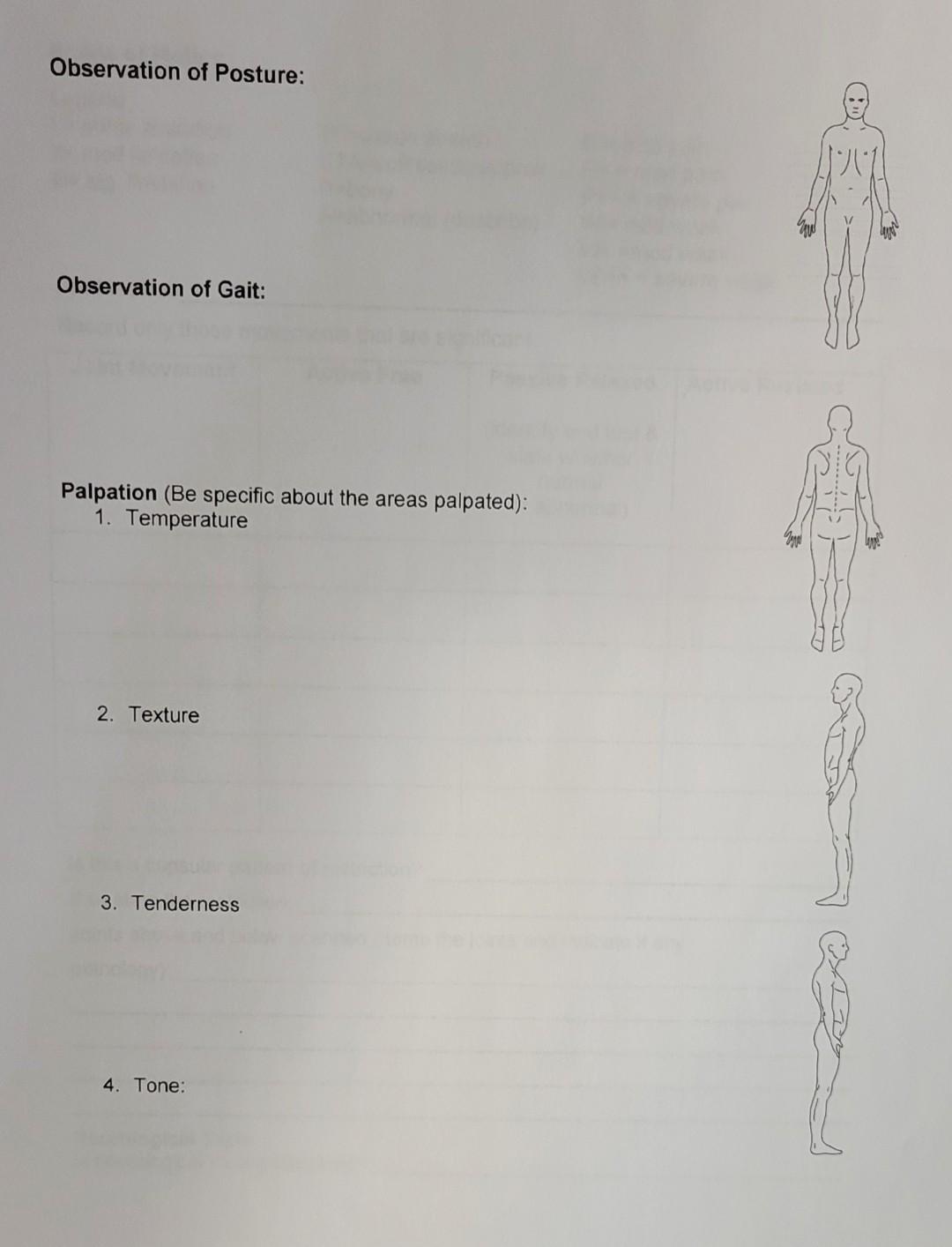 Solved Massage Therapy Course Answer The Question Below Of | Chegg.com