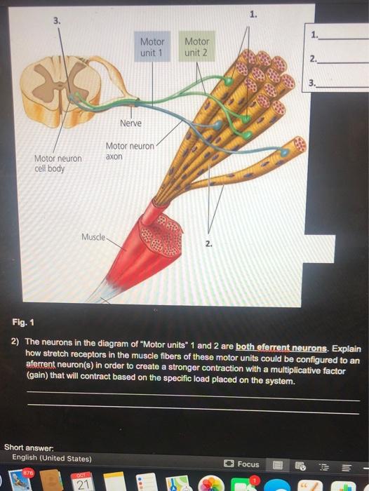 Solved looking for answer for number 2 on the bottom (below | Chegg.com