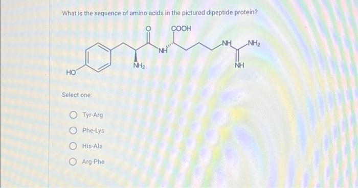 Solved What is the sequence of amino acids in the pictured | Chegg.com