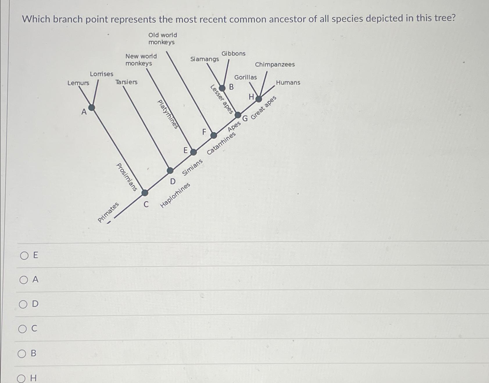 Solved Which branch point represents the most recent common | Chegg.com