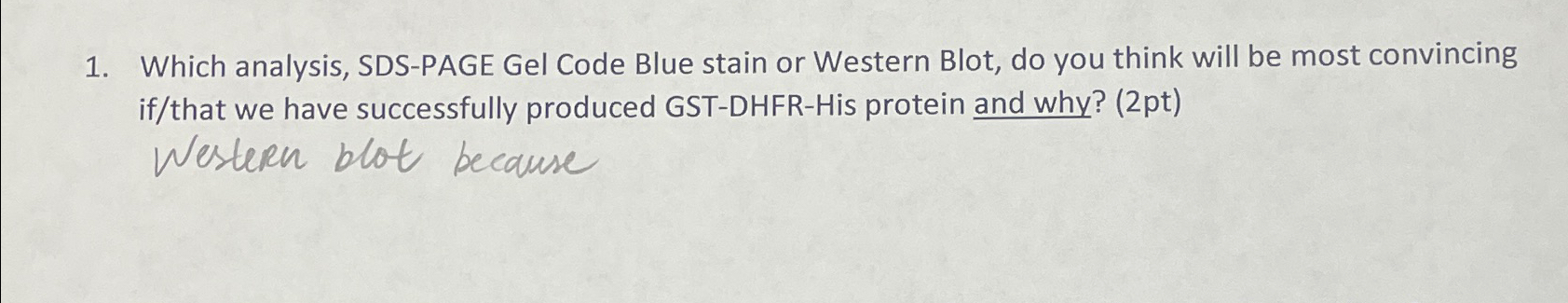 Solved Which analysis, SDS-PAGE Gel Code Blue stain or | Chegg.com
