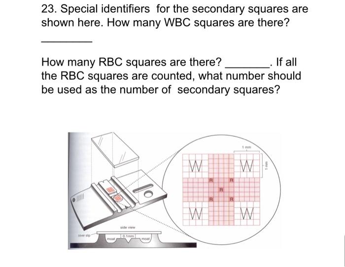 Solved 23. Special identifiers for the secondary squares are | Chegg.com