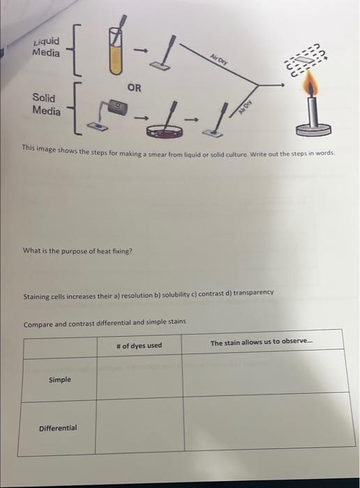 Solved What is the purpose of heat fixing? Staining cells