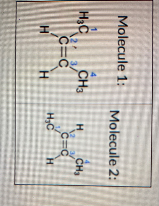 Solved Molecule 1 Molecule 2 Ch3 H Ch3 H3c Cec Sc Cc H 0818