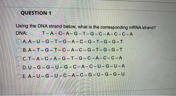Solved QUESTION 1 Using the DNA strand below, what is the | Chegg.com