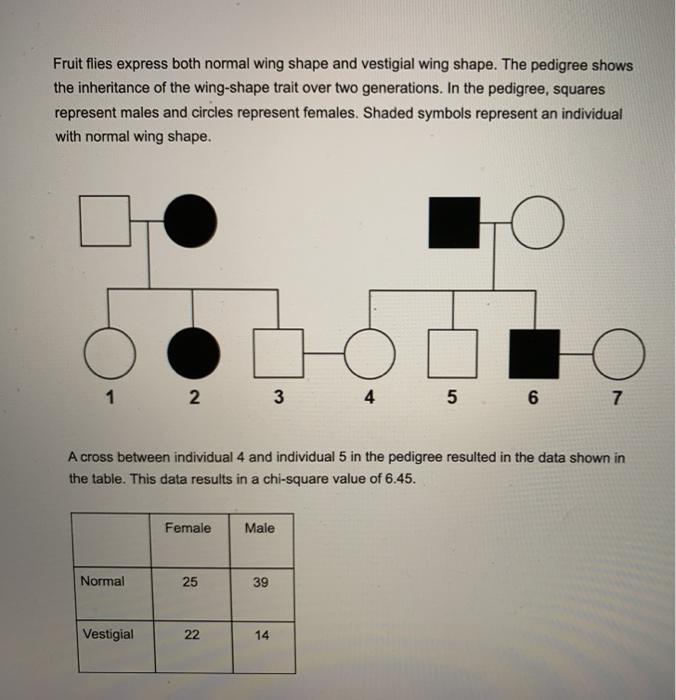 Solved Fruit Flies Express Both Normal Wing Shape And 