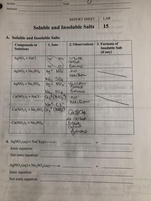 Solved Section Team Instructor Report Sheet Lab Soluble And Chegg Com