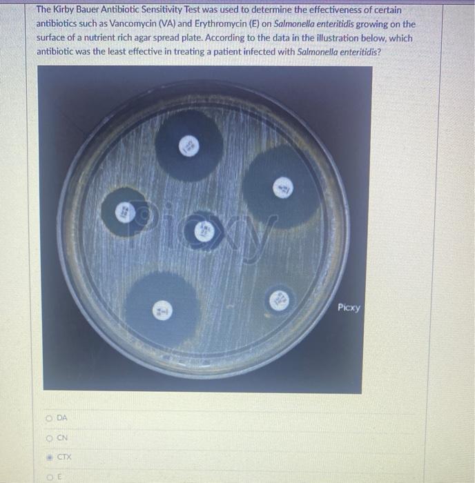 Solved The Kirby Bauer Antibiotic Sensitivity Test was used | Chegg.com