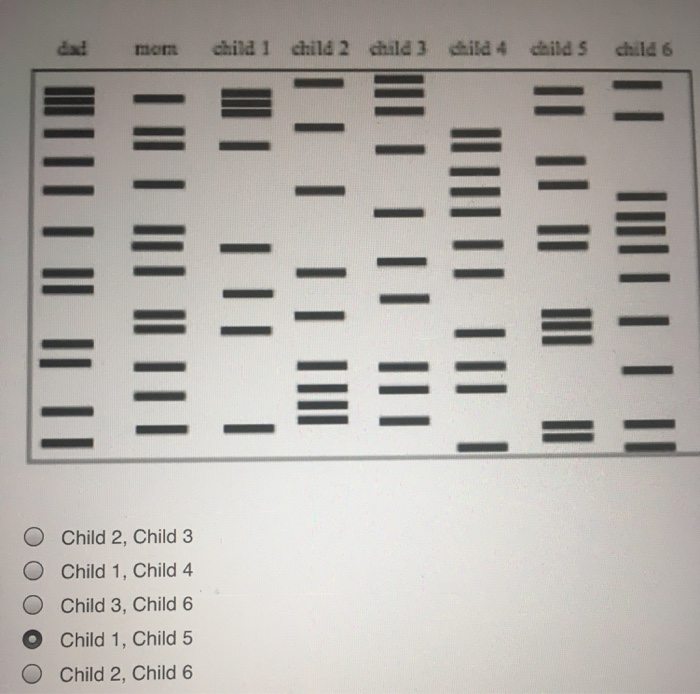 Solved There was a mix-up at the hospital, two twins have | Chegg.com