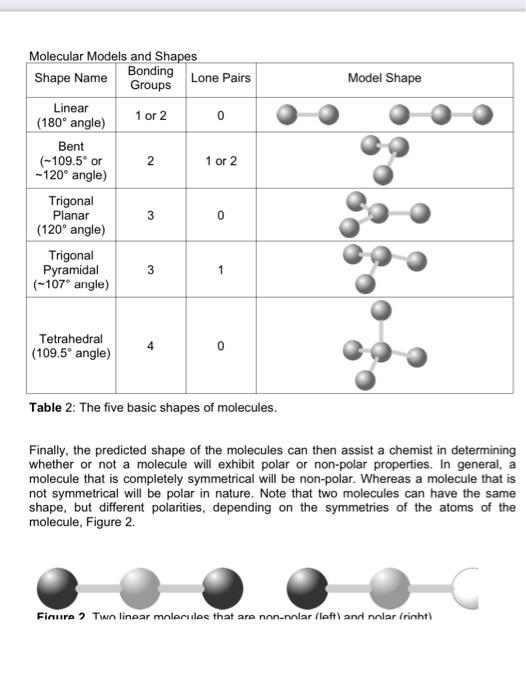 MVLs. (A and B) The structure (A) and molecular modeling (B) of