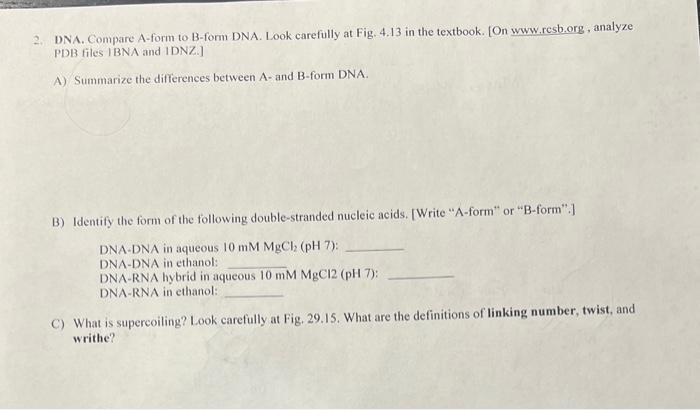 2. DNA. Compare A-form to B-form DNA. Look carefully at Fig. 4.13 in the textbook. [On www.rcsb.org, analyze PDB files I BNA