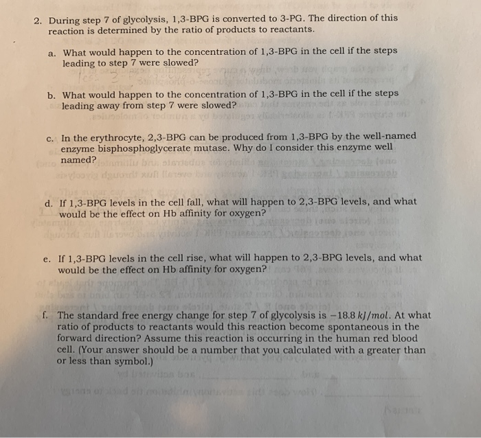 Solved 2 During Step 7 Of Glycolysis 1 3 Bpg Is Convert Chegg Com