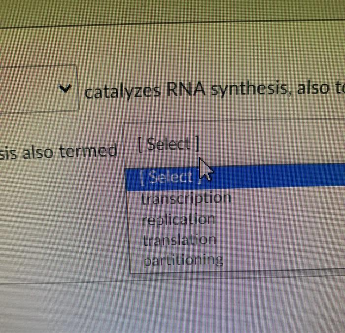 catalyzes RNA synthesis, also to sis also termed [ Select] [ Select transcription replication translation partitioning