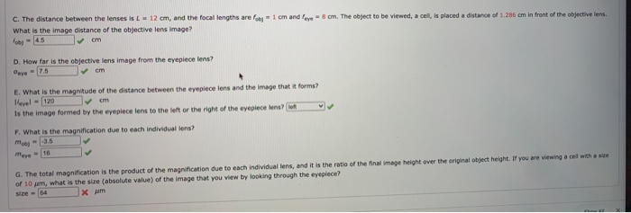 Solved C The Distance Between The Lenses Is L 12 Cm And Chegg Com