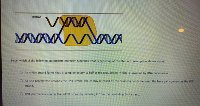 solved-conceptual-learning-activity-chapter-7-2-chegg