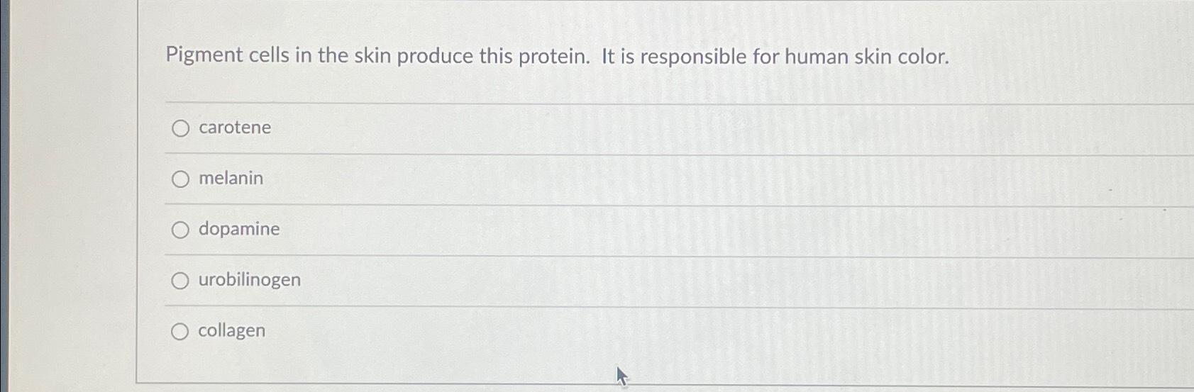 Solved Pigment cells in the skin produce this protein. It is | Chegg.com