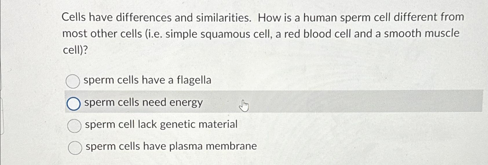 HOW IS A SPERM CELL DIFFERENT FROM OTHER CELLS visual data 2