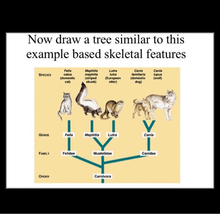 Solved Attribute Table for Drawing Trees Diet