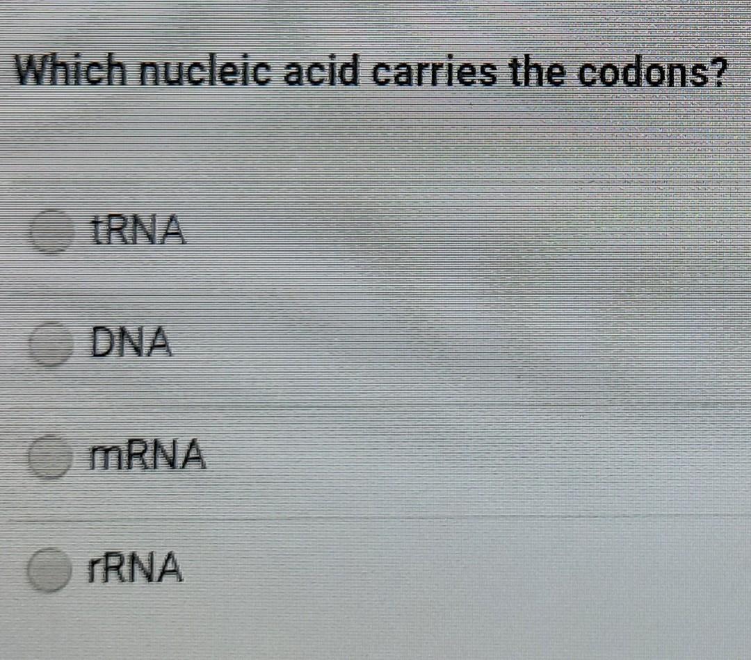 Solved Which nucleic acid carries the codons? TRNA DNA mRNA