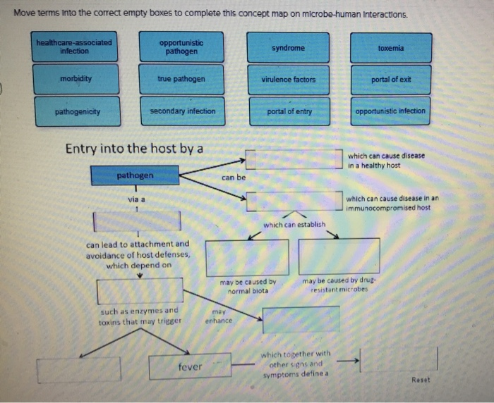 Solved Move terms into the correct empty boxes to complete