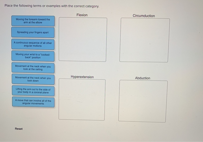Solved Place the following terms or examples with the | Chegg.com